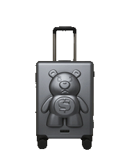 MONEYBEAR VAULT: HARDSHELL CARRY-ON LUGGAGE